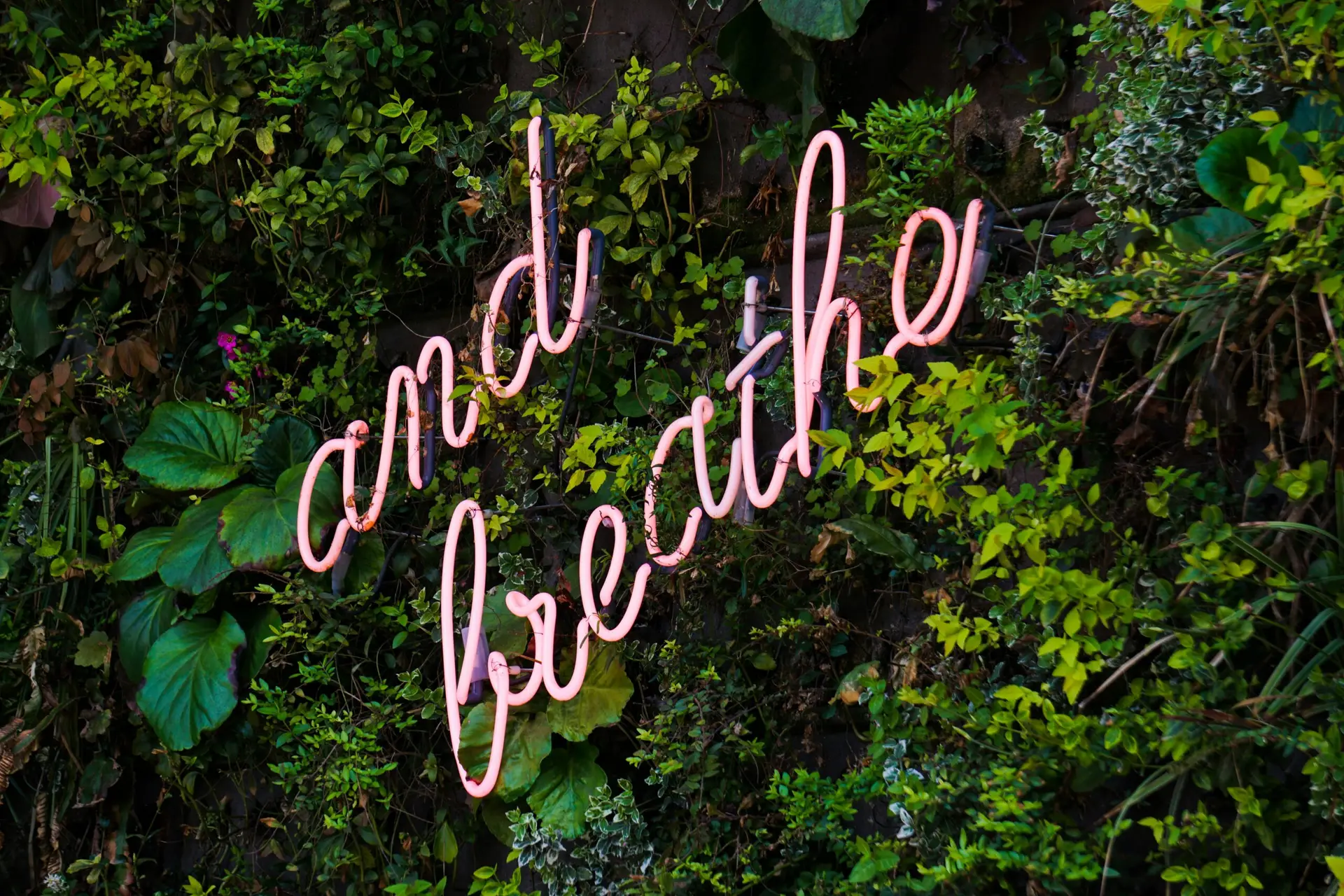 Read more about the article 3b. Breathe In, Calm Out: Breathing Techniques For Fear & Anxiety