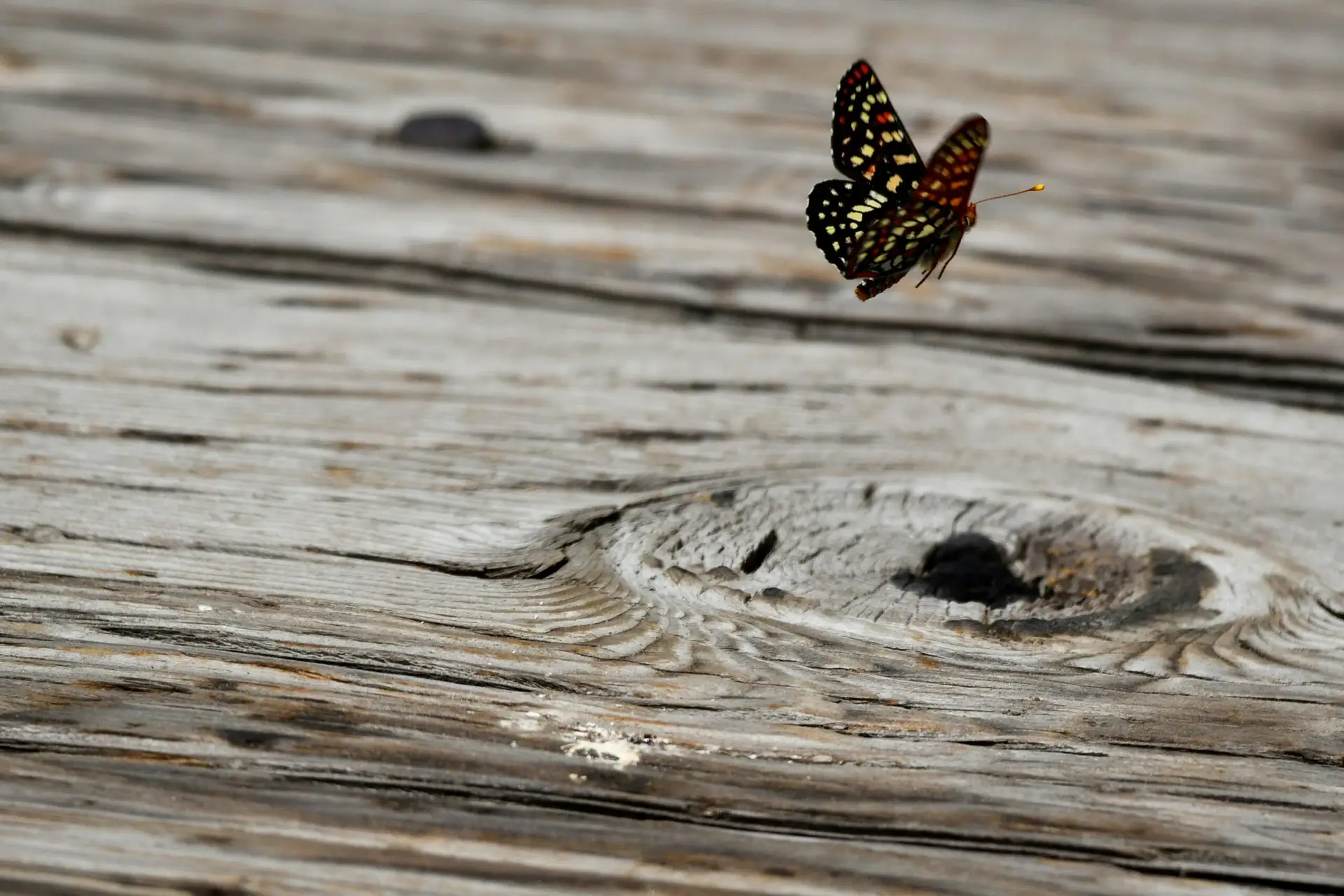 Read more about the article 4a. Let’s Get Physical: Holding On, Letting Go — How Fear & Anxiety Create Tension in the Body