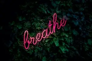Read more about the article 3a. Breathe In, Panic Out: How Fear Affects The Breath