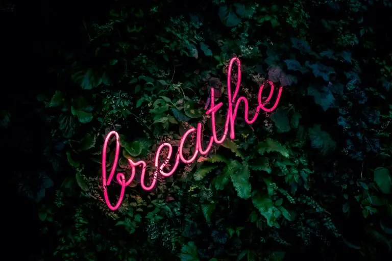 How Fear Affects The Breath - Dark green leafy background with a pink neon sign reading "breathe" in a flowing, cursive style.