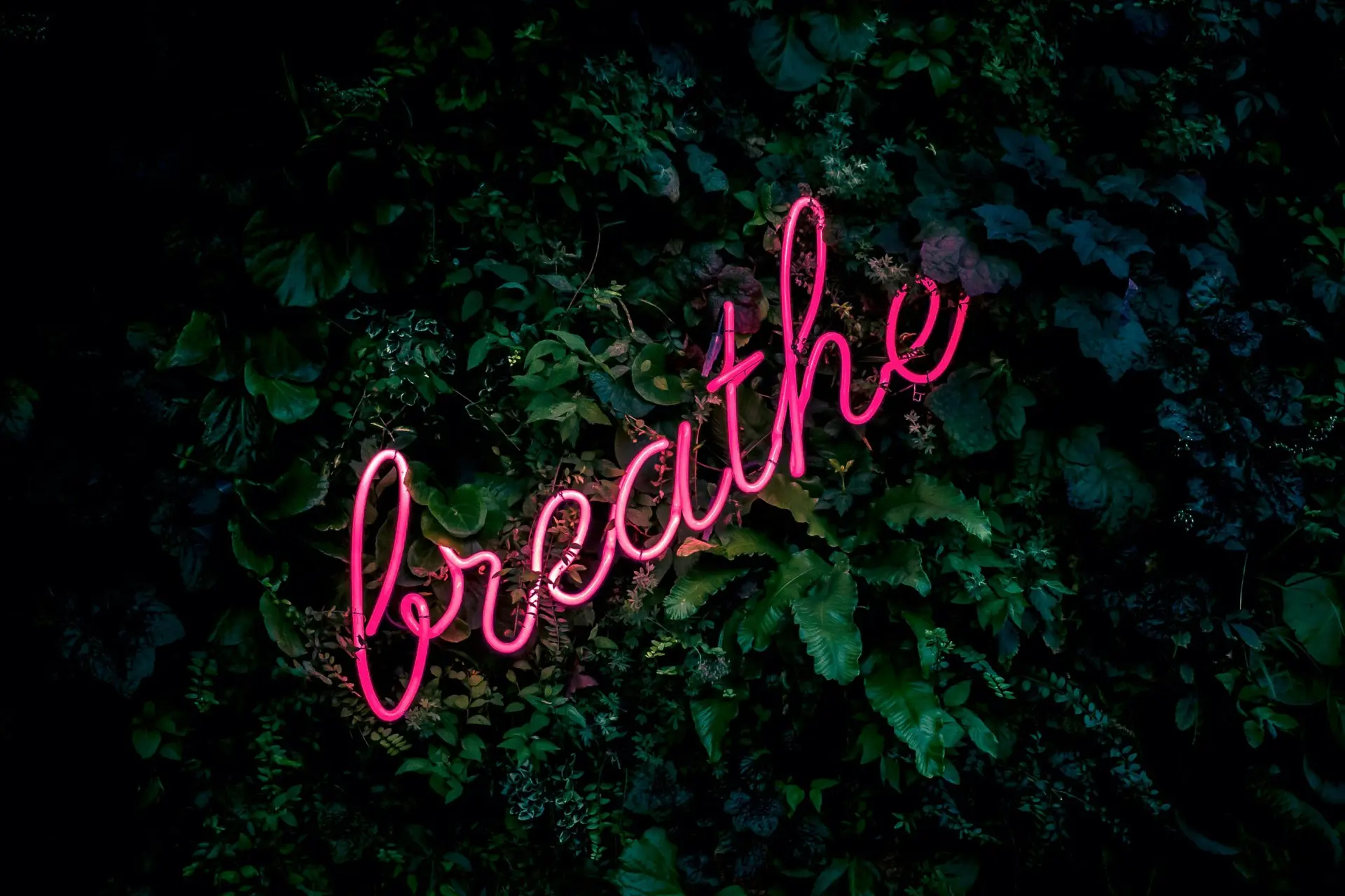 Read more about the article 3a. Breathe In, Panic Out: How Fear Affects The Breath