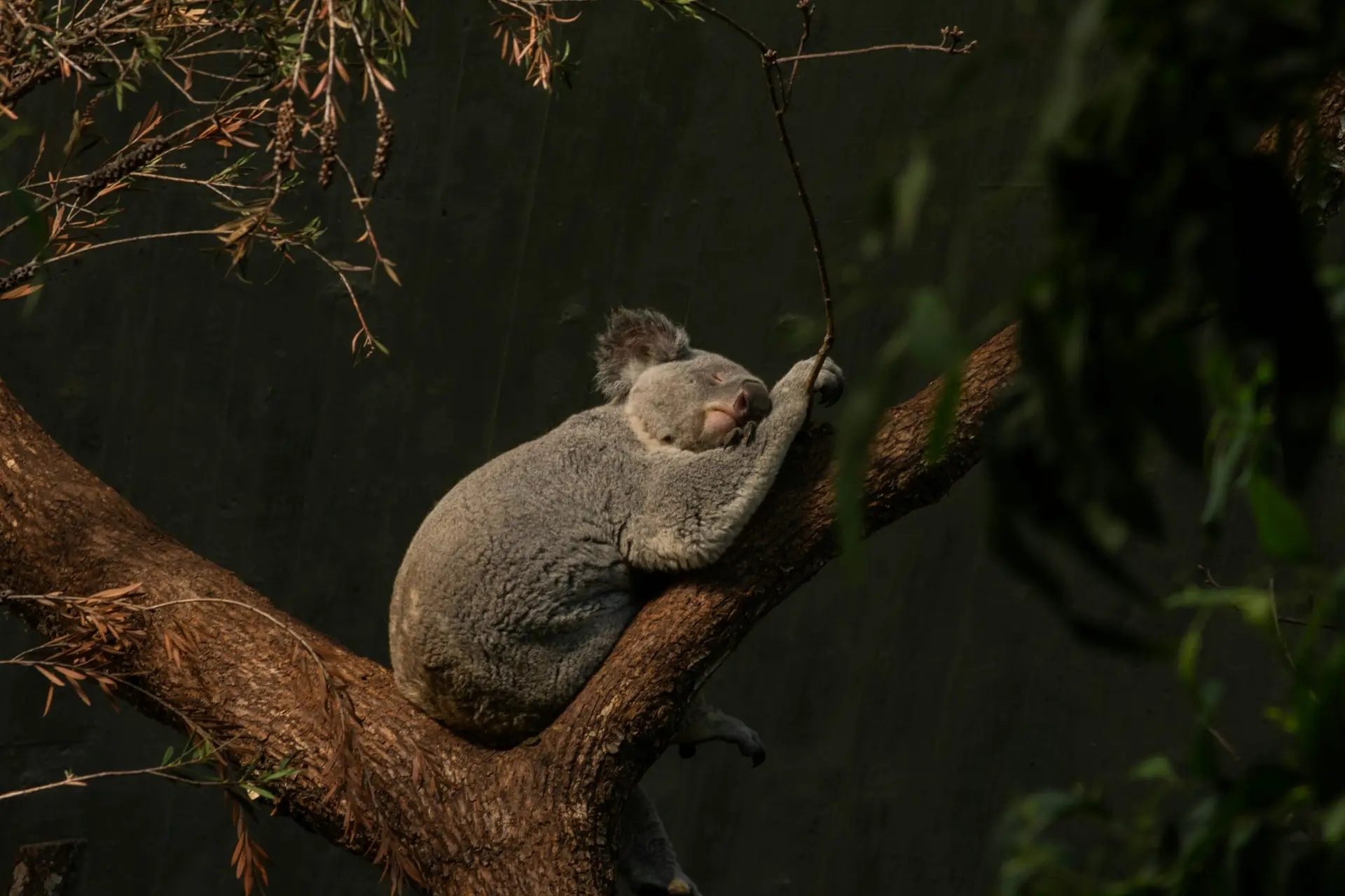 Read more about the article 5a. Let’s Get Restful: Fear, Anxiety & The Sleep Struggle