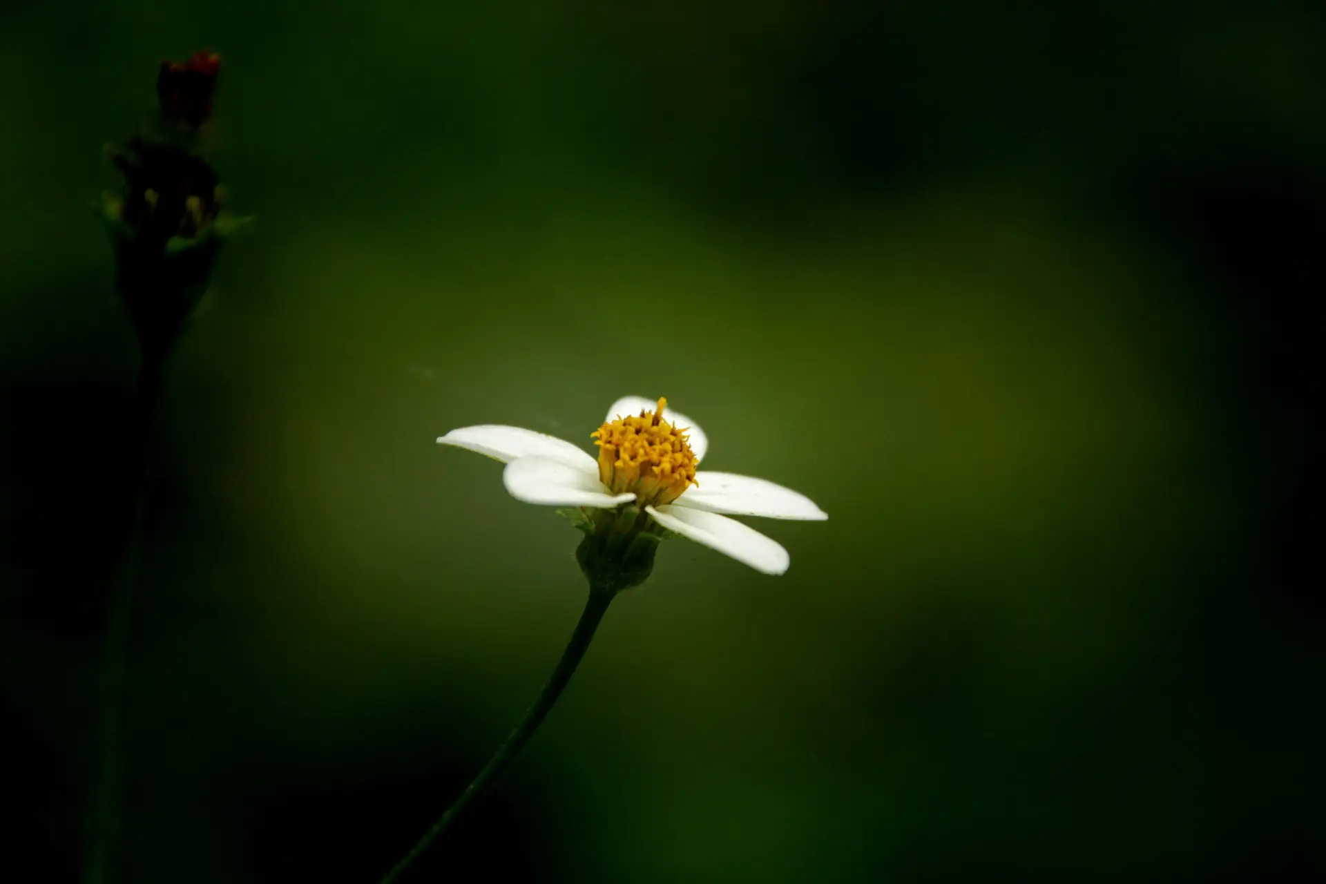 Read more about the article Is It Bad to Be Shy? Why It’s Not Just in Your Mind